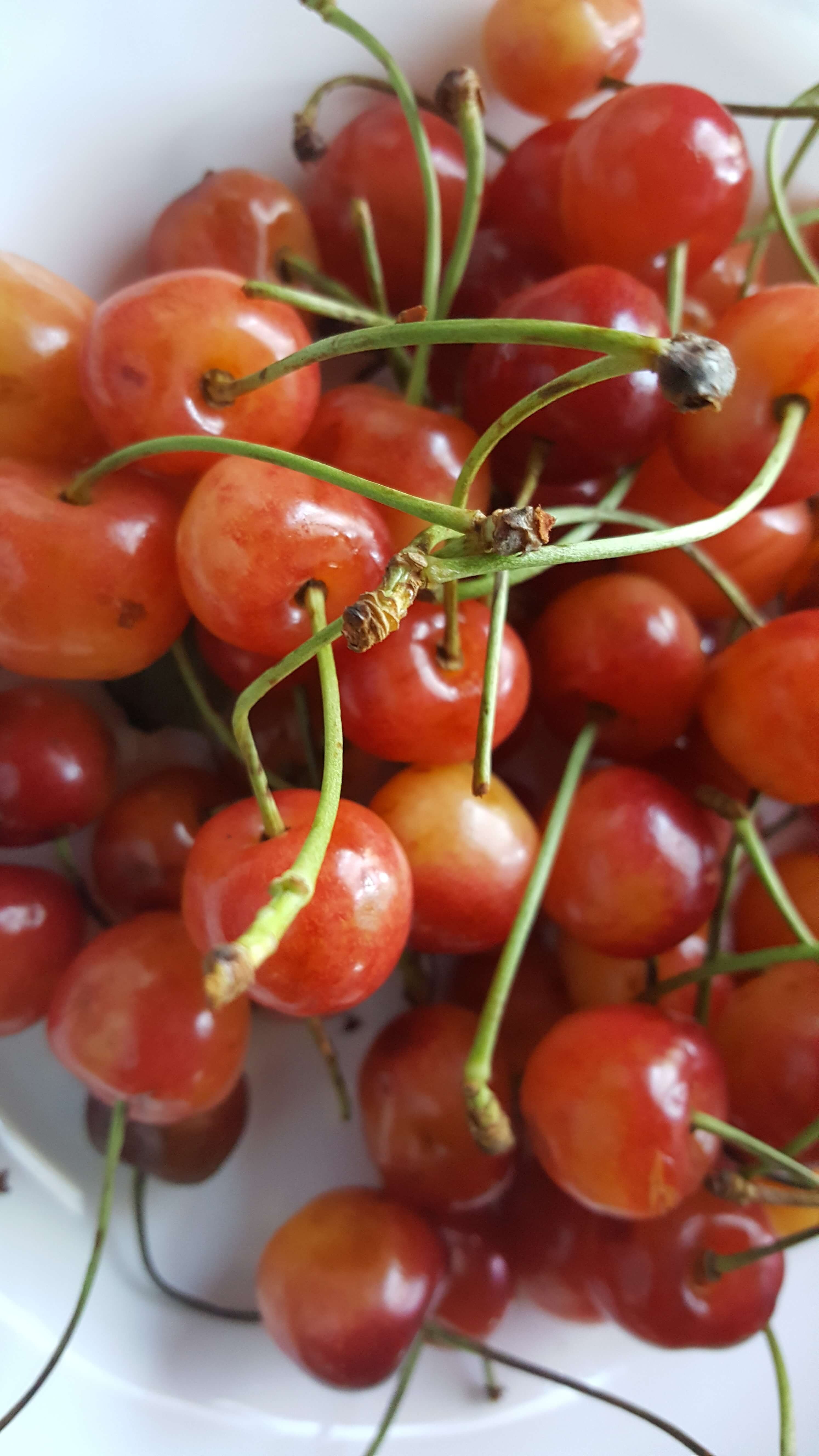 El higienismo es alto en frutas